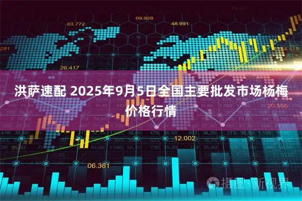 洪萨速配 2025年9月5日全国主要批发市场杨梅价格行情