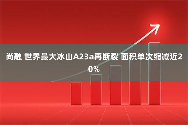 尚融 世界最大冰山A23a再断裂 面积单次缩减近20%