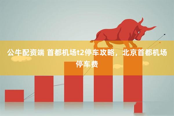 公牛配资端 首都机场t2停车攻略，北京首都机场停车费