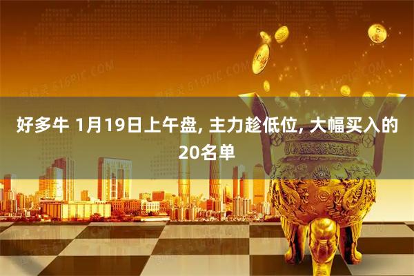 好多牛 1月19日上午盘, 主力趁低位, 大幅买入的20名单